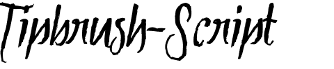 Tipbrush Script Regular.ttf