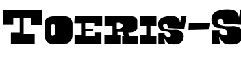 Toeris Slab Regular.ttf