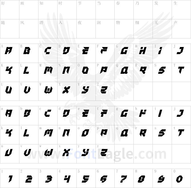 Tokyo-Drifter-Italic