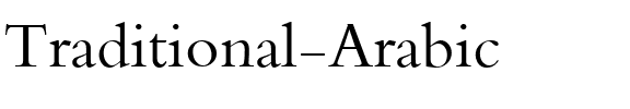 Traditional Arabic Regular.ttf
