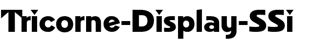 Tricorne Display SSi Regular.ttf