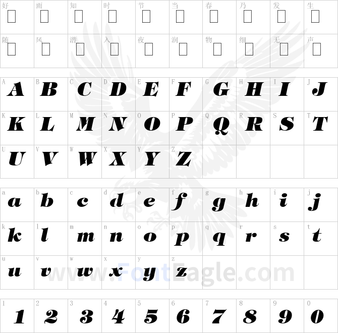 Tringland-Heavy-Italic