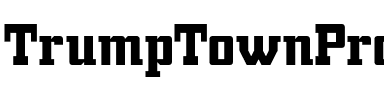 Trump Town Pro Regular.otf