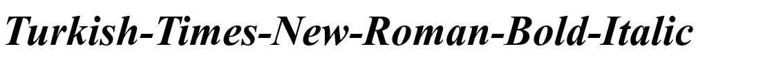 Turkish Times New Roman Bold Italic.ttf