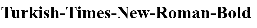 Turkish Times New Roman Bold.ttf