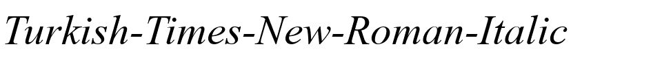 Turkish Times New Roman Italic.ttf