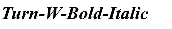 Turn W Bold Italic.ttf