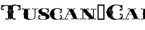 Tuscan Caps LHF Regular.ttf