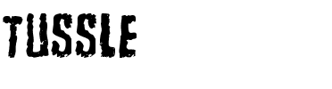 Tussle Regular.ttf