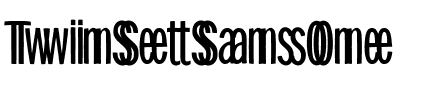 TwinSetSansOne Regular.ttf