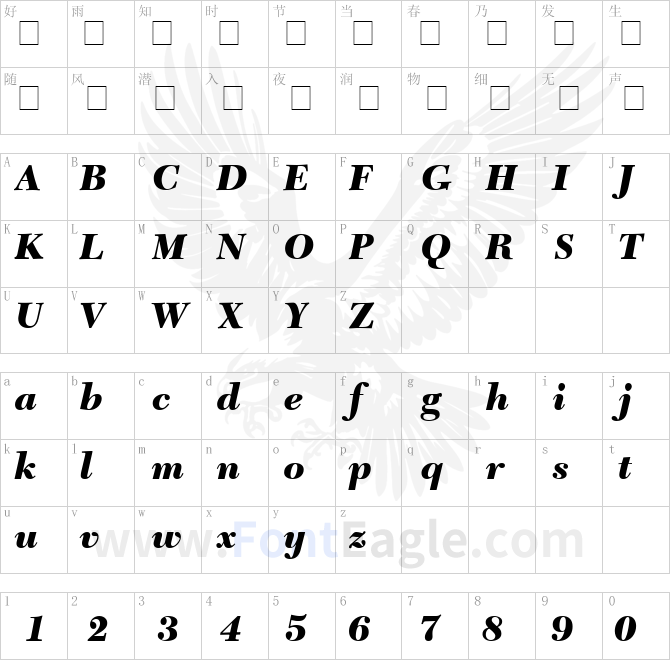 Tycoon-Black-SSi-Black-Italic