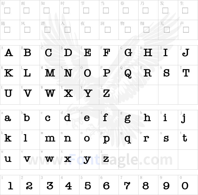 Typewriter-Bold-copy-2-