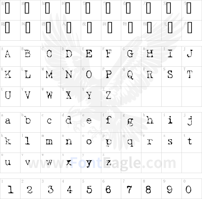 Typewriter-New-Roman