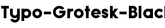 Typo Grotesk Black Regular.otf