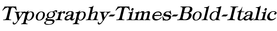 Typography Times Bold Italic.ttf
