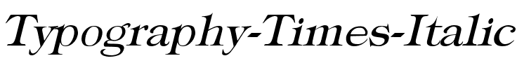 Typography Times Italic.ttf