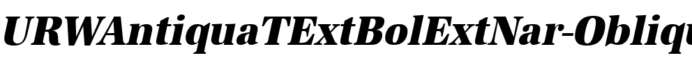 URWAntiquaTExtBolExtNar Oblique.ttf