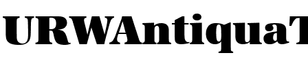 URWAntiquaTSup Regular.ttf
