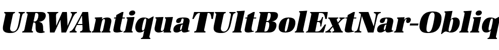 URWAntiquaTUltBolExtNar Oblique.ttf