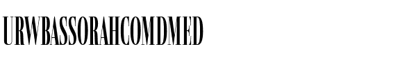 URWBassorahComDMed Regular.ttf