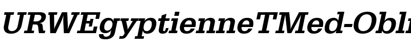 URWEgyptienneTMed Oblique.ttf