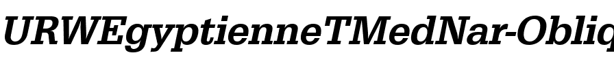 URWEgyptienneTMedNar Oblique.ttf
