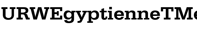 URWEgyptienneTMedWid Regular.ttf