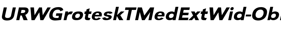 URWGroteskTMedExtWid Oblique.ttf