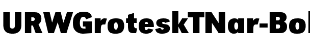URWGroteskTNar Bold.ttf
