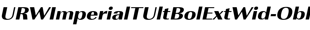 URWImperialTUltBolExtWid Oblique.ttf