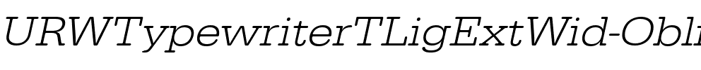 URWTypewriterTLigExtWid Oblique.ttf