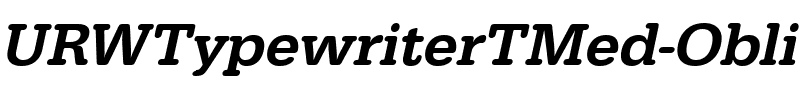 URWTypewriterTMed Oblique.ttf