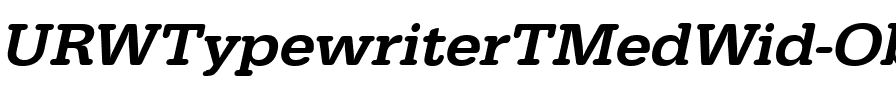 URWTypewriterTMedWid Oblique.ttf