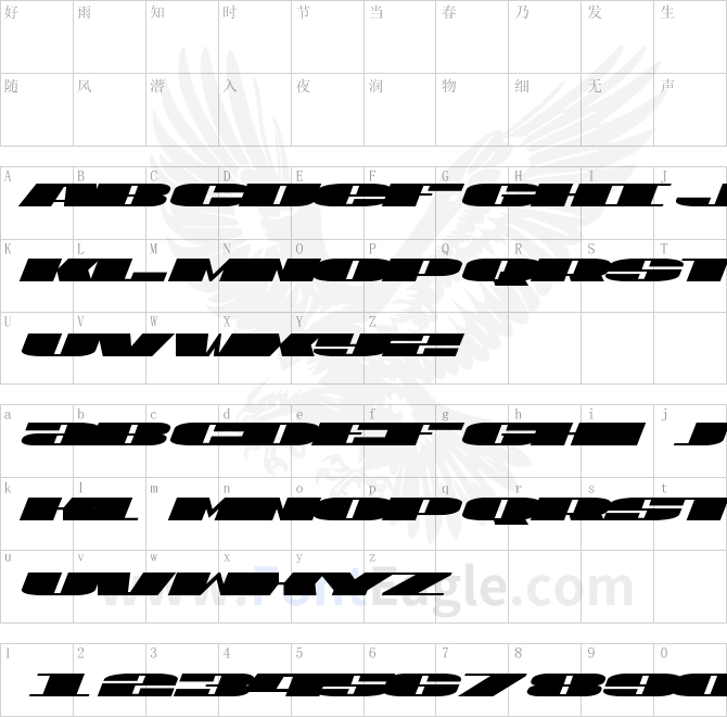 U_S_A_Expanded-Italic