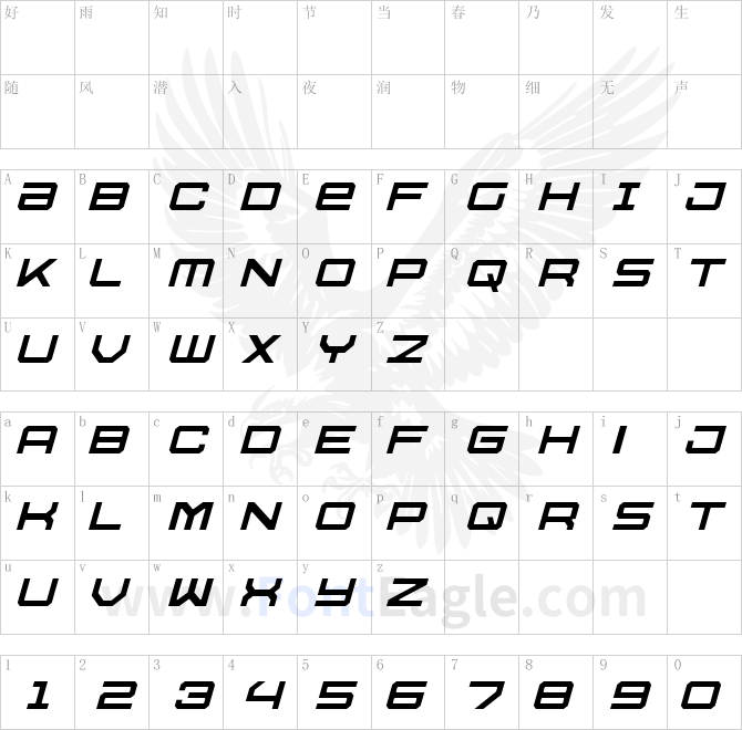 U_S_S-Dallas-Light-Italic