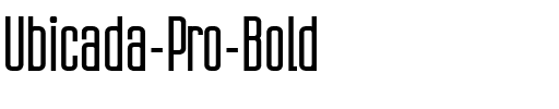 Ubicada Pro Bold.ttf