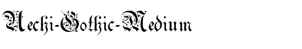 Uechi-Gothic Medium.ttf