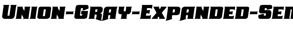 Union Gray Expanded Semi-Italic Expanded Semi-Italic.ttf