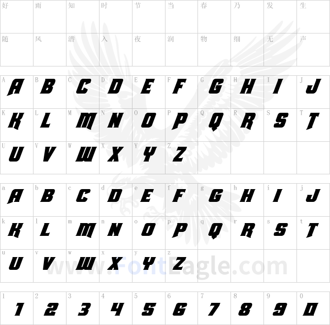 Union-Gray-Super-Italic