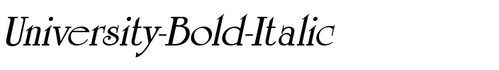 University Bold Italic.ttf
