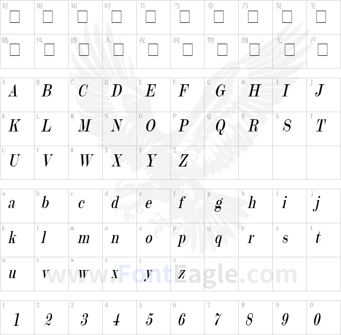 Update-20-Condensed-Italic