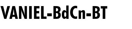 VANIEL BdCn BT Regular.ttf