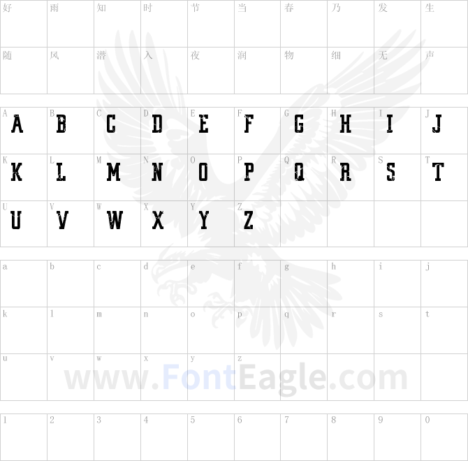 VINTAGE-COLLEGE-DEPT_DEMO_worn