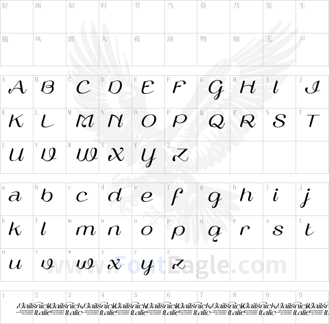 Vailsnick-Italic-Demo-