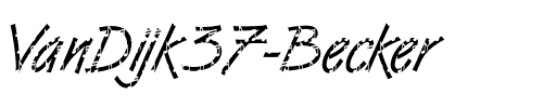 VanDijk37 Becker Regular.ttf