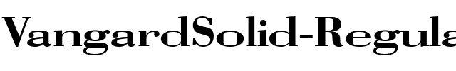 VangardSolid Regular.ttf