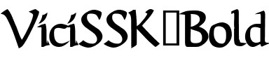 ViciSSK Bold.ttf