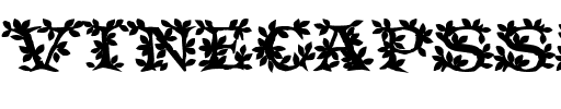 VineCapsSSK Bold.ttf
