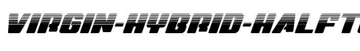 Virgin Hybrid Halftone Regular.ttf