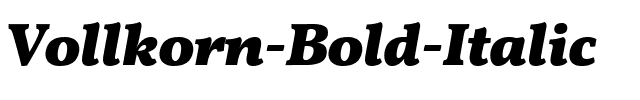 Vollkorn Bold Italic Regular.ttf